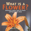 What is a Flower? Dissecting a Flower, Parts of a Flower and Reproductive Roles | Grade 6-8 Life Science by 9781541991200 (Paperback)