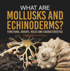 What are Mollusks and Echinoderms? Functions, Groups, Roles and Characteristics | Grade 6-8 Life Science by 9781541991231 (Paperback)