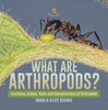 What are Arthropods? Functions, Groups, Roles and Characteristics of Arthropods | Grade 6-8 Life Science by 9781541991248 (Paperback)