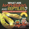 What are Amphibians and Reptiles? Functions, Groups, Roles and Characteristics | Grade 6-8 Life Science by 9781541991262 (Paperback)