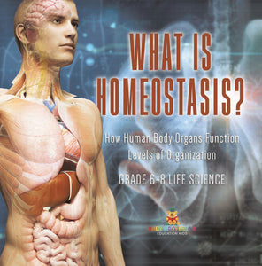 What is Homeostasis? How Human Body Organs Function | Levels of Organization | Grade 6-8 Life Science by 9781541991309 (Paperback)