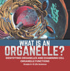 What is an Organelle? Identifying Organelles and Examining Cell Organelle Functions | Grade 6-8 Life Science by 9781541997257 (Paperback)