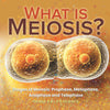 What is Meiosis? Stages of Meiosis, Prophase, Metaphase, Anaphase and Telophase | Grade 6-8 Life Science by 9781541998032 (Paperback)