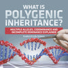 What is Polygenic Inheritance? Multiple Alleles, Codominance and Incomplete Dominance Explained | Grade 6-8 Life Science by 9781541998070 (Paperback)