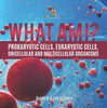 What Am I? Prokaryotic Cells, Eukaryotic Cells, Unicellular and Multicellular Organisms | Grade 6-8 Life Science by 9781541998117 (Paperback)
