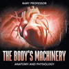 The Bodys Machinery | Anatomy and Physiology