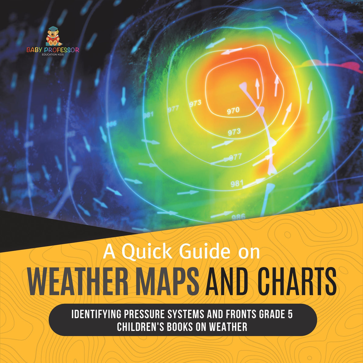 A Quick Guide on Weather Maps and Charts Identifying Pressure Systems and Fronts Grade 5 Children's Books on Weather