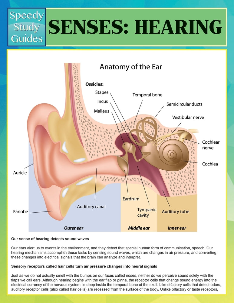Senses: Hearing (Speedy Study Guides)