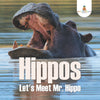Hippos - Lets Meet Mr. Hippo