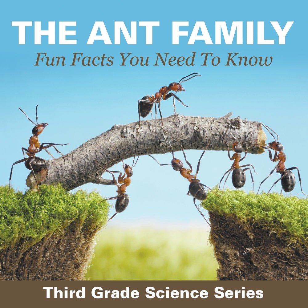 The Ant Family - Fun Facts You Need To Know : Third Grade Science Series
