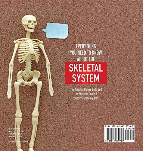 Everything You Need to Know About the Skeletal System - The Amazing Human Body and Its Systems Grade 4 - Children’s Anatomy Books
