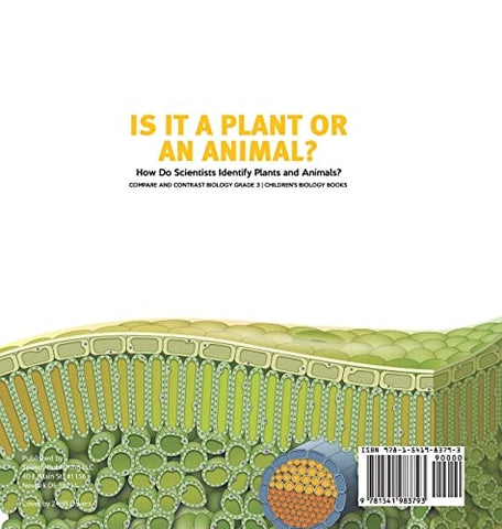 Image of Is It a Plant or an Animal? How Do Scientists Identify Plants and Animals? Compare and Contrast Biology Grade 3 Children’s Biology Books