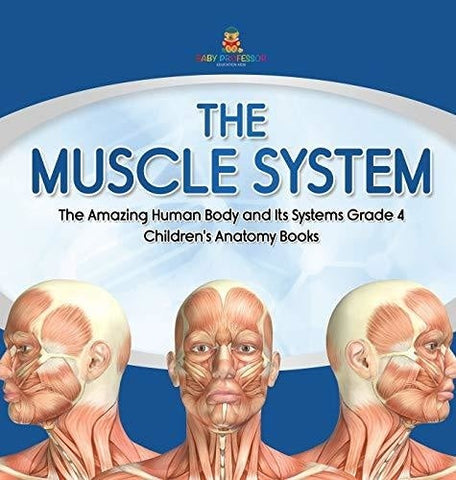 Image of The Muscle System - The Amazing Human Body and Its Systems Grade 4 - Children’s Anatomy Books