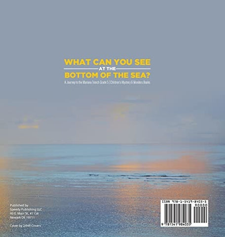 Image of What Can You See in the Bottom of the Sea? A Journey to the Mariana Trench Grade 5 Children’s Mystery & Wonders Books