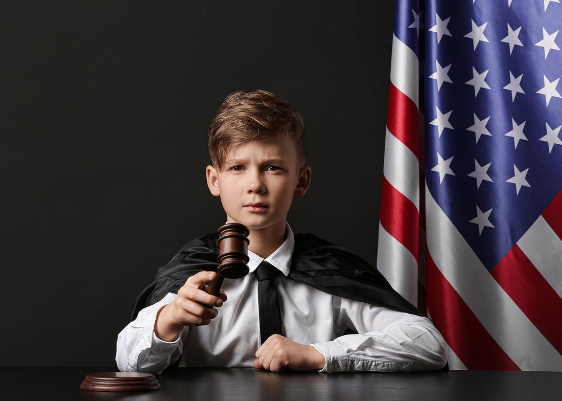 Teaching Civics to Young Learners: Explaining Government Roles in Plain Language