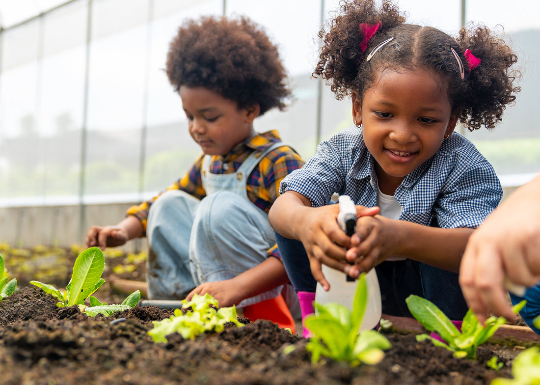 Making Life Science Understandable: Teaching Plants and Animals in Elementary Grades