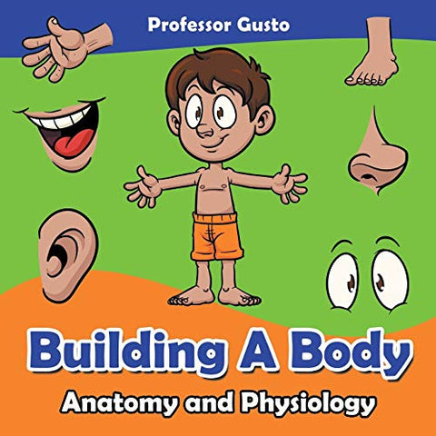 Image of Building a Body | Anatomy and Physiology
