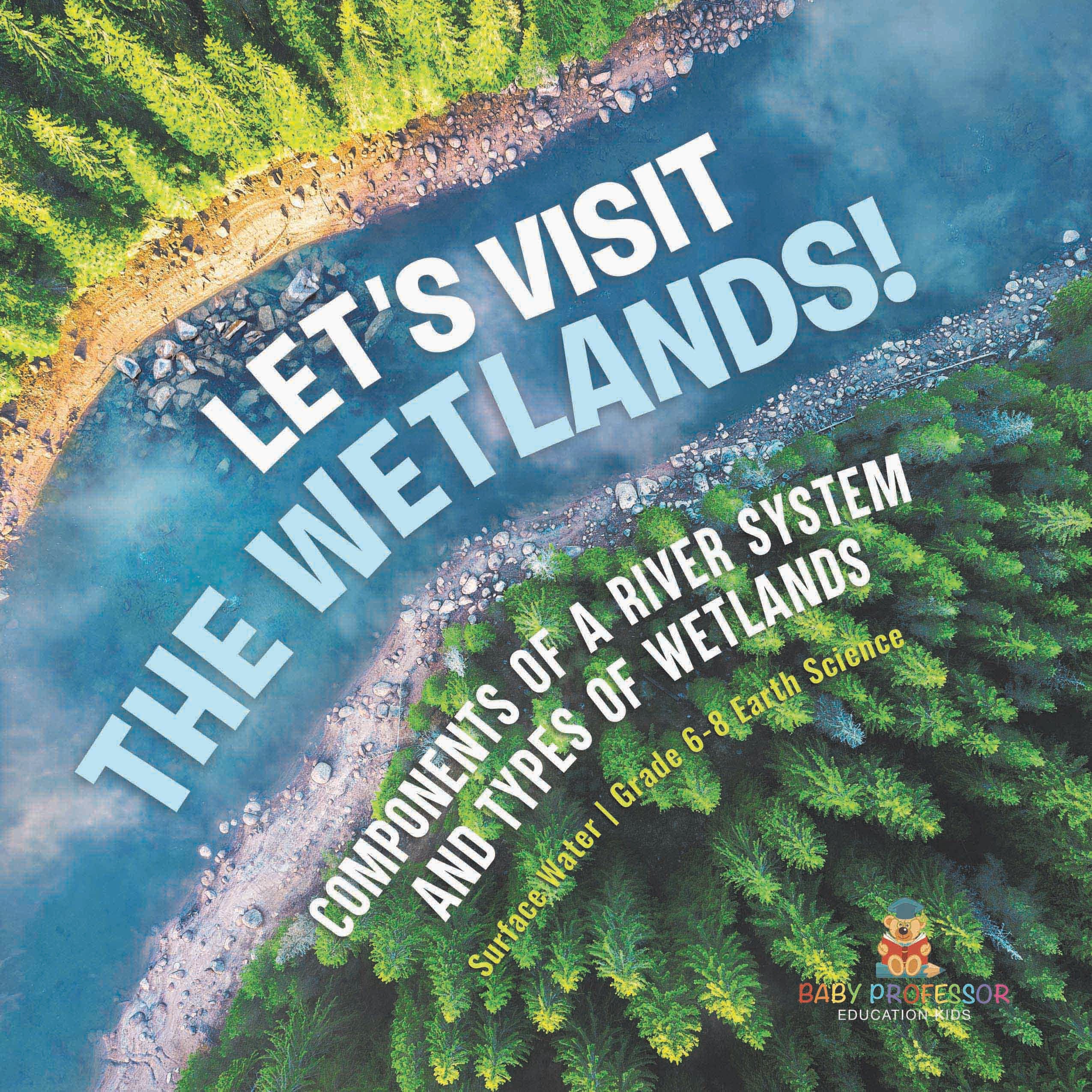 Let's Visit the Wetlands! Components of a River System and Types of Wetlands | Surface Water | Grade 6-8 Earth Science by 9781541989511 (Paperback)