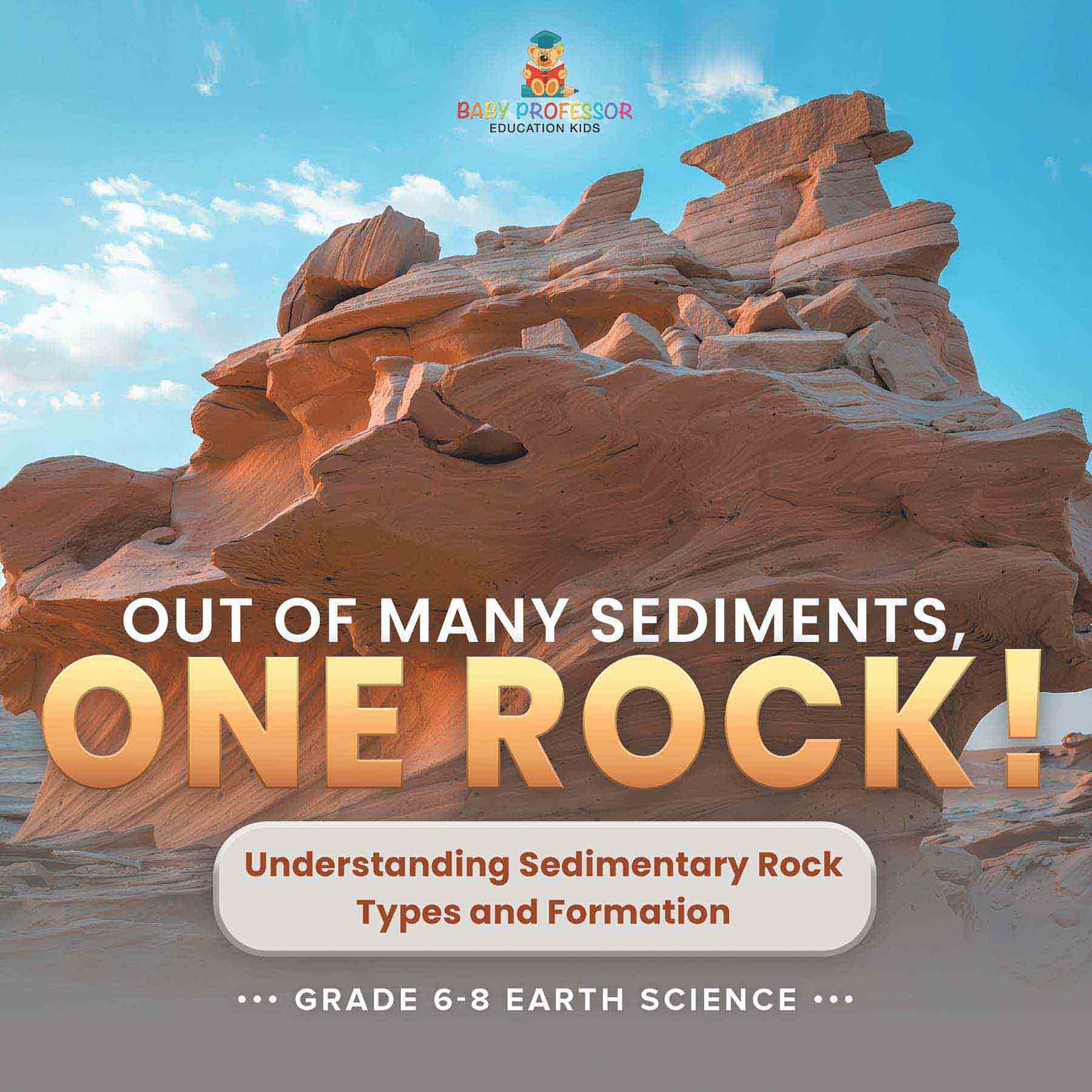 Out of Many Sediments, One Rock! Understanding Sedimentary Rock Types and Formation | Grade 6-8 Earth Science by 9781541989764 (Paperback)