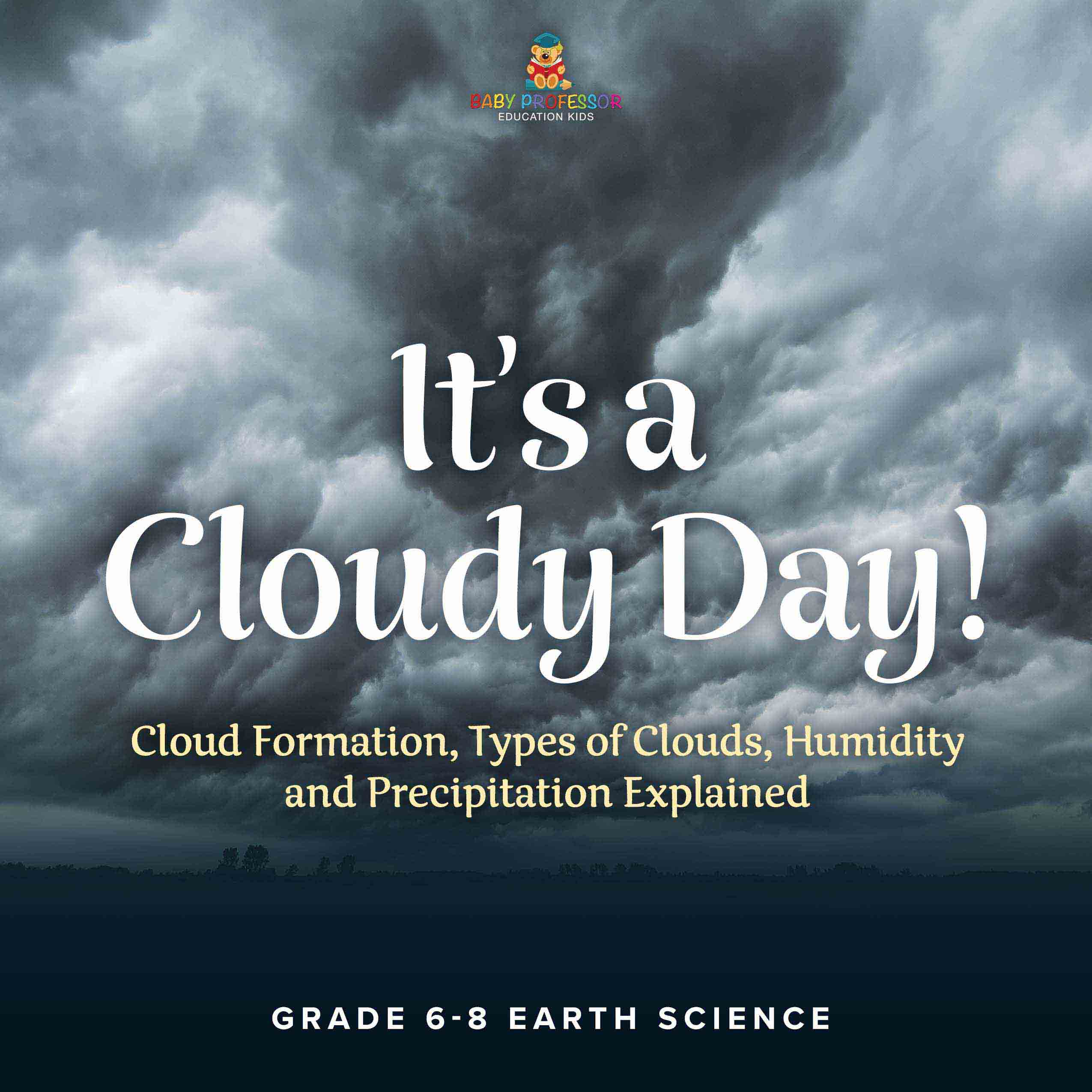 It's a Cloudy Day! Cloud Formation, Types of Clouds, Humidity and Precipitation Explained | Grade 6-8 Earth Science by 9781541989795 (Paperback)