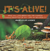 It's Alive! What All Life Needs and the Common Characteristics of All Life as We Know It | Grade 6-8 Life Science by 9781541990852 (Paperback)