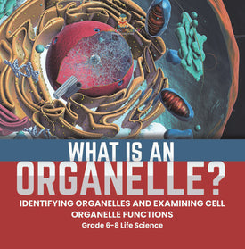 What is an Organelle? Identifying Organelles and Examining Cell Organelle Functions | Grade 6-8 Life Science by 9781541990920 (Paperback)
