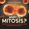 What is Mitosis? Mitosis Cycle vs. Cell Cycle Explained | Diploid Daughter Cells | Grade 6-8 Life Science by 9781541990975 (Paperback)