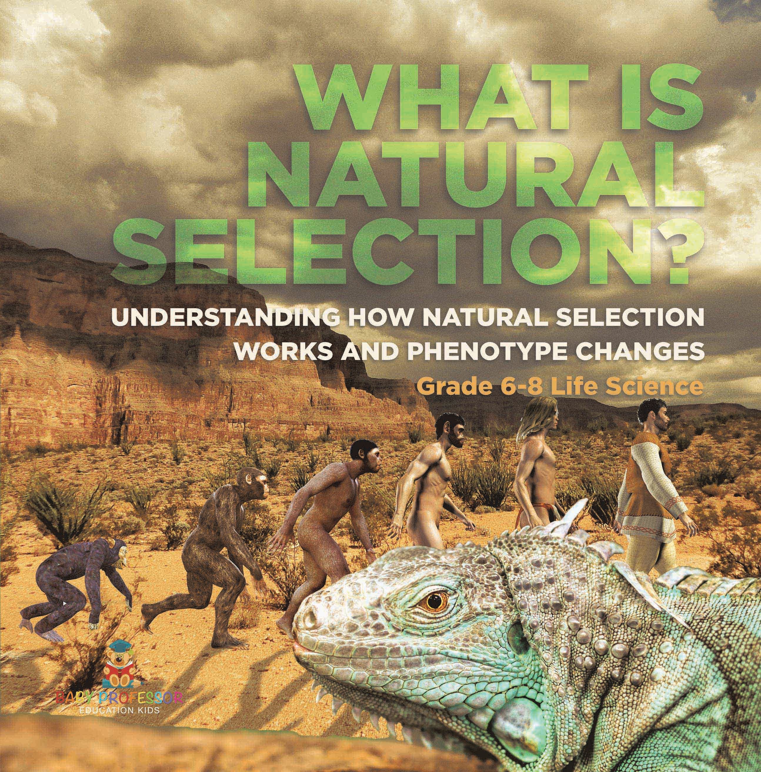 What is Natural Selection? Understanding How Natural Selection Works and Phenotype Changes | Grade 6-8 Life Science by 9781541991095 (Paperback)