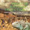 What is Natural Selection? Understanding How Natural Selection Works and Phenotype Changes | Grade 6-8 Life Science by 9781541991095 (Paperback)
