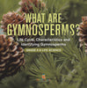 What are Gymnosperms? Life Cycle, Characteristics and Identifying Gymnosperms | Grade 6-8 Life Science by 9781541991187 (Paperback)