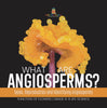 What are Angiosperms? Types, Reproduction and Identifying Angiosperms | Function of Flowers | Grade 6-8 Life Science by 9781541991194 (Paperback)