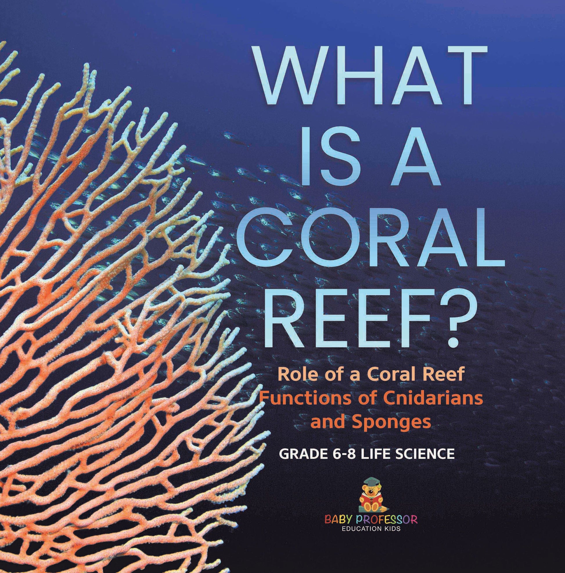 What is a Coral Reef? Role of a Coral Reef | Functions of Cnidarians and Sponges | Grade 6-8 Life Science