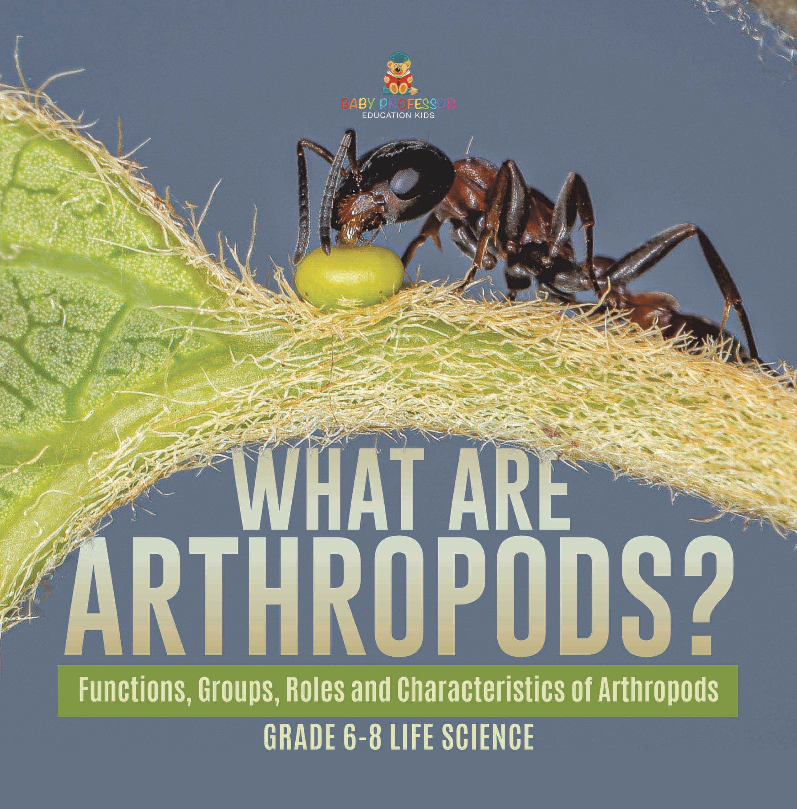 What are Arthropods? Functions, Groups, Roles and Characteristics of Arthropods | Grade 6-8 Life Science by 9781541991248 (Paperback)