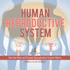 Human Reproductive System | How the Male and Female Reproductive System Works | Grade 6-8 Life Science by 9781541991361 (Paperback)