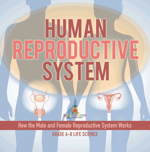 Human Reproductive System | How the Male and Female Reproductive System Works | Grade 6-8 Life Science by 9781541991361 (Paperback)