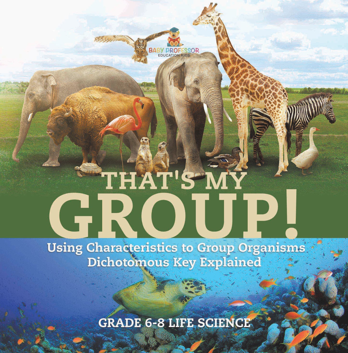 That's My Group! Using Characteristics to Group Organisms | Dichotomous Key Explained | Grade 6-8 Life Science