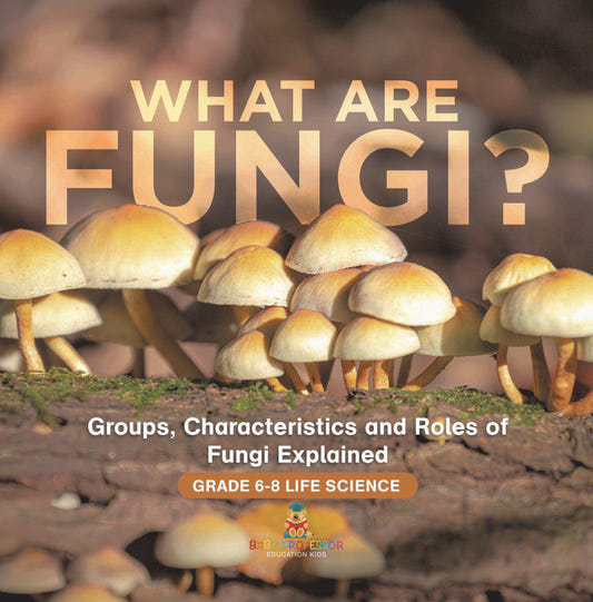 What are Fungi? Groups, Characteristics and Roles of Fungi Explained | Grade 6-8 Life Science