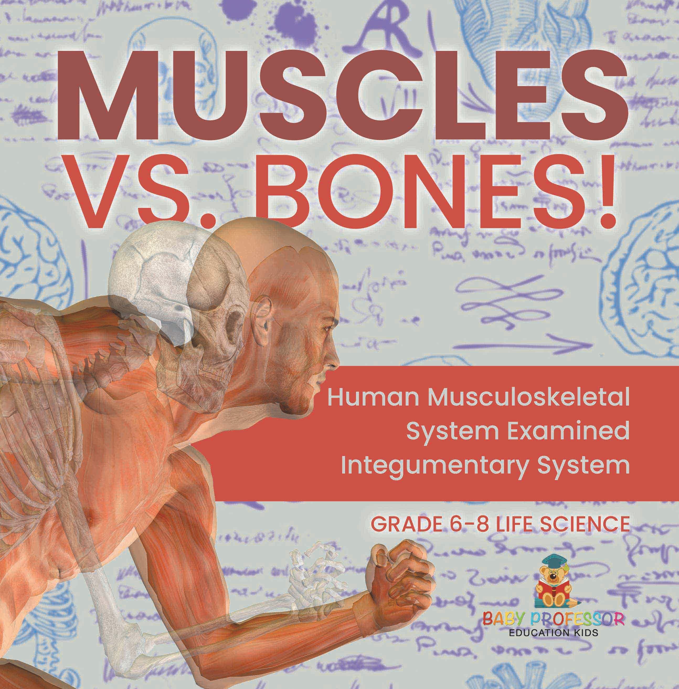 Muscles vs. Bones! Human Musculoskeletal System Examined | Integumentary System | Grade 6-8 Life Science by 9781541998575 (Paperback)
