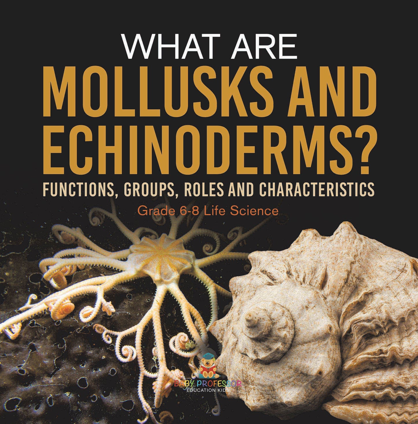 What are Arthropods? Functions, Groups, Roles and Characteristics of Arthropods | Grade 6-8 Life Science