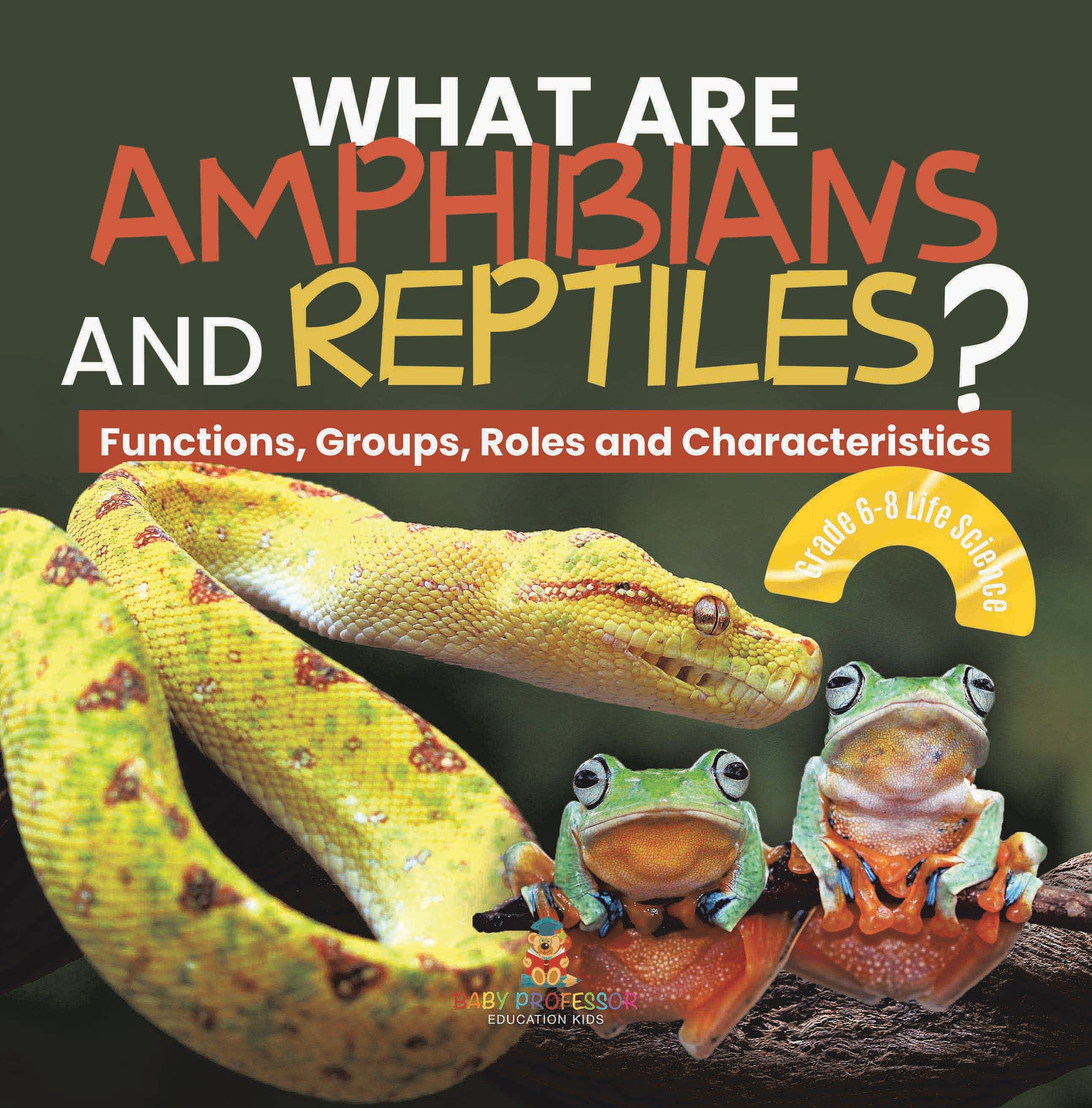 What are Amphibians and Reptiles? Functions, Groups, Roles and Characteristics | Grade 6-8 Life Science by 9781541998643 (Paperback)