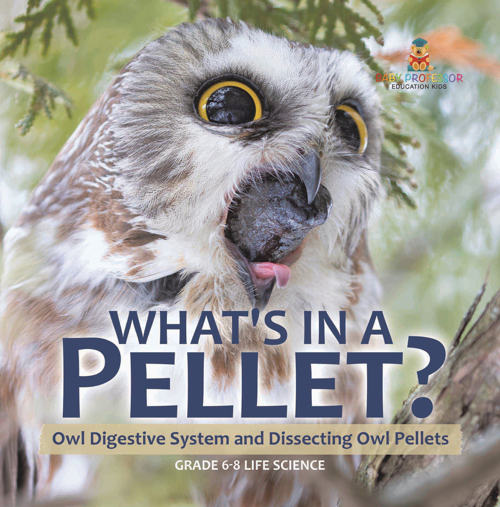 What's in a Pellet? Owl Digestive System and Dissecting Owl Pellets | Grade 6-8 Life Science