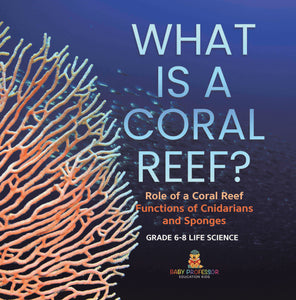 What is a Coral Reef? Role of a Coral Reef | Functions of Cnidarians and Sponges | Grade 6-8 Life Science by 9781541998728 (Paperback)