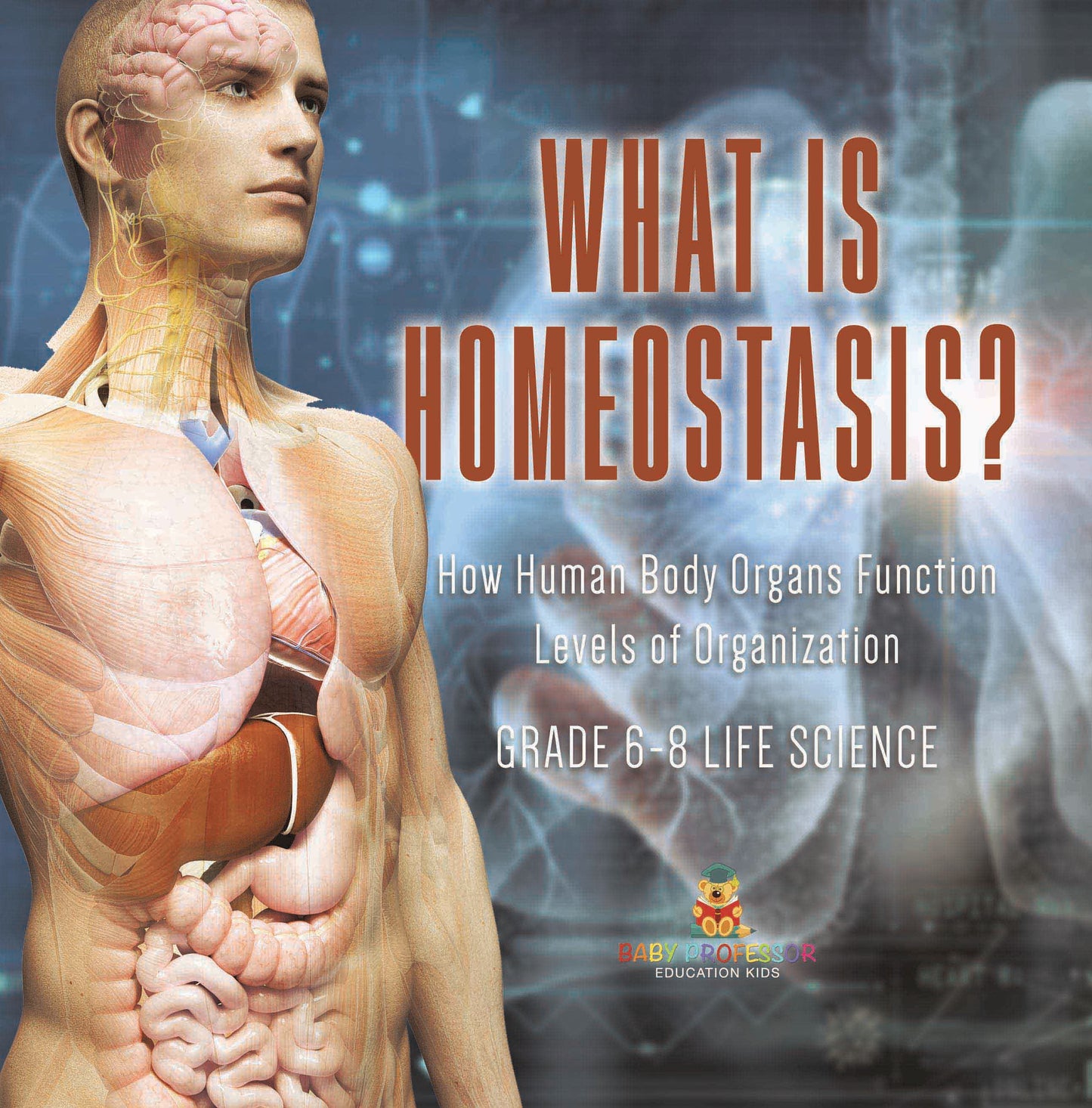 What is Homeostasis? How Human Body Organs Function | Levels of Organization | Grade 6-8 Life Science
