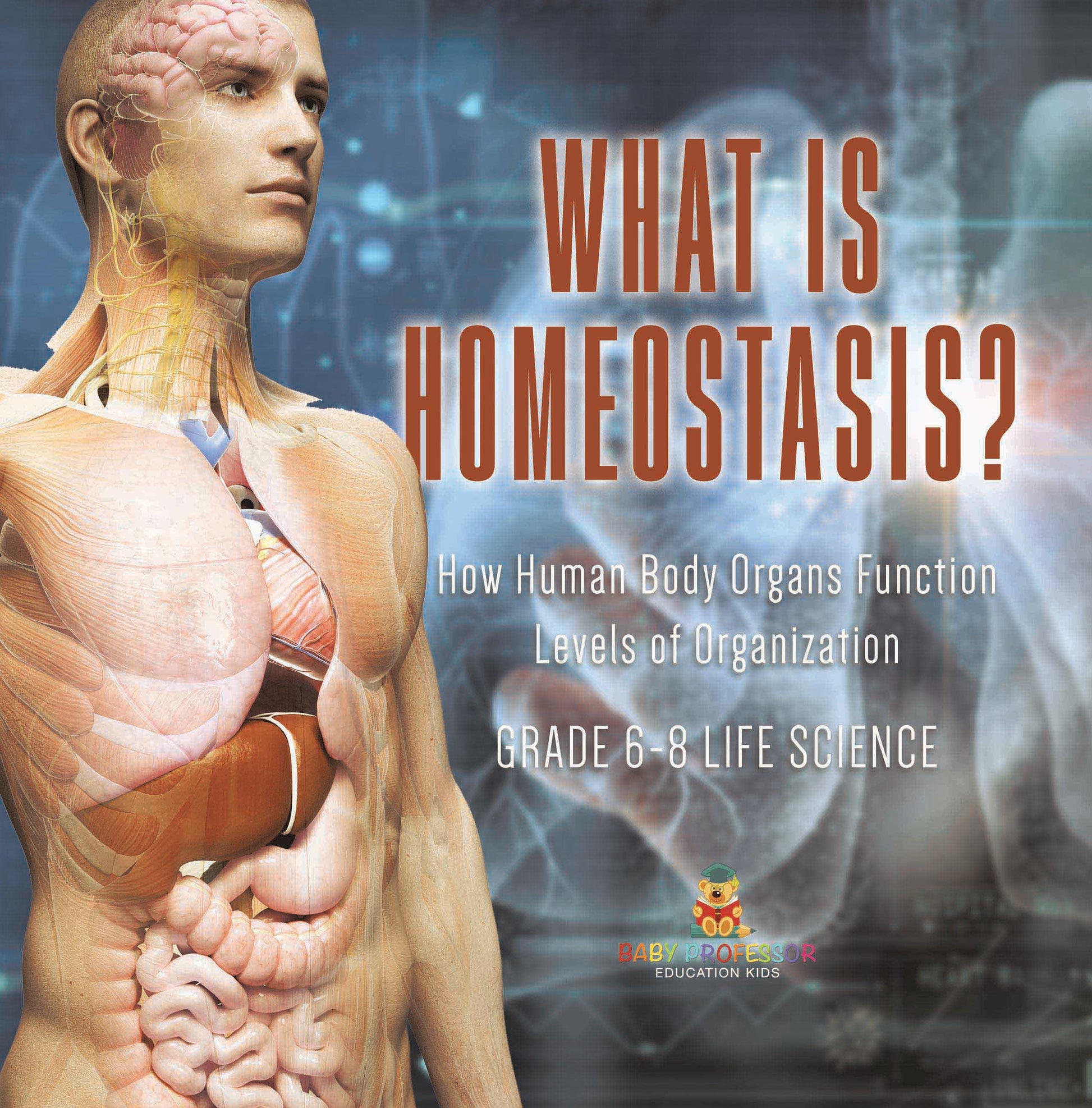 What is Homeostasis? How Human Body Organs Function | Levels of Organization | Grade 6-8 Life Science