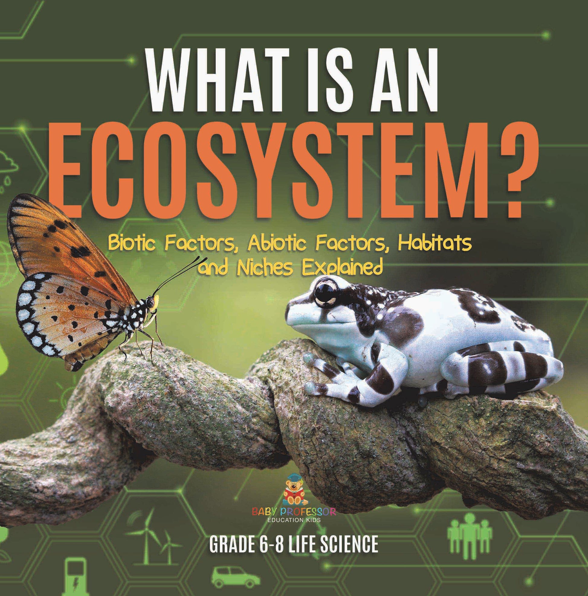 What is an Ecosystem? Biotic Factors, Abiotic Factors, Habitats and Niches Explained | Grade 6-8 Life Science