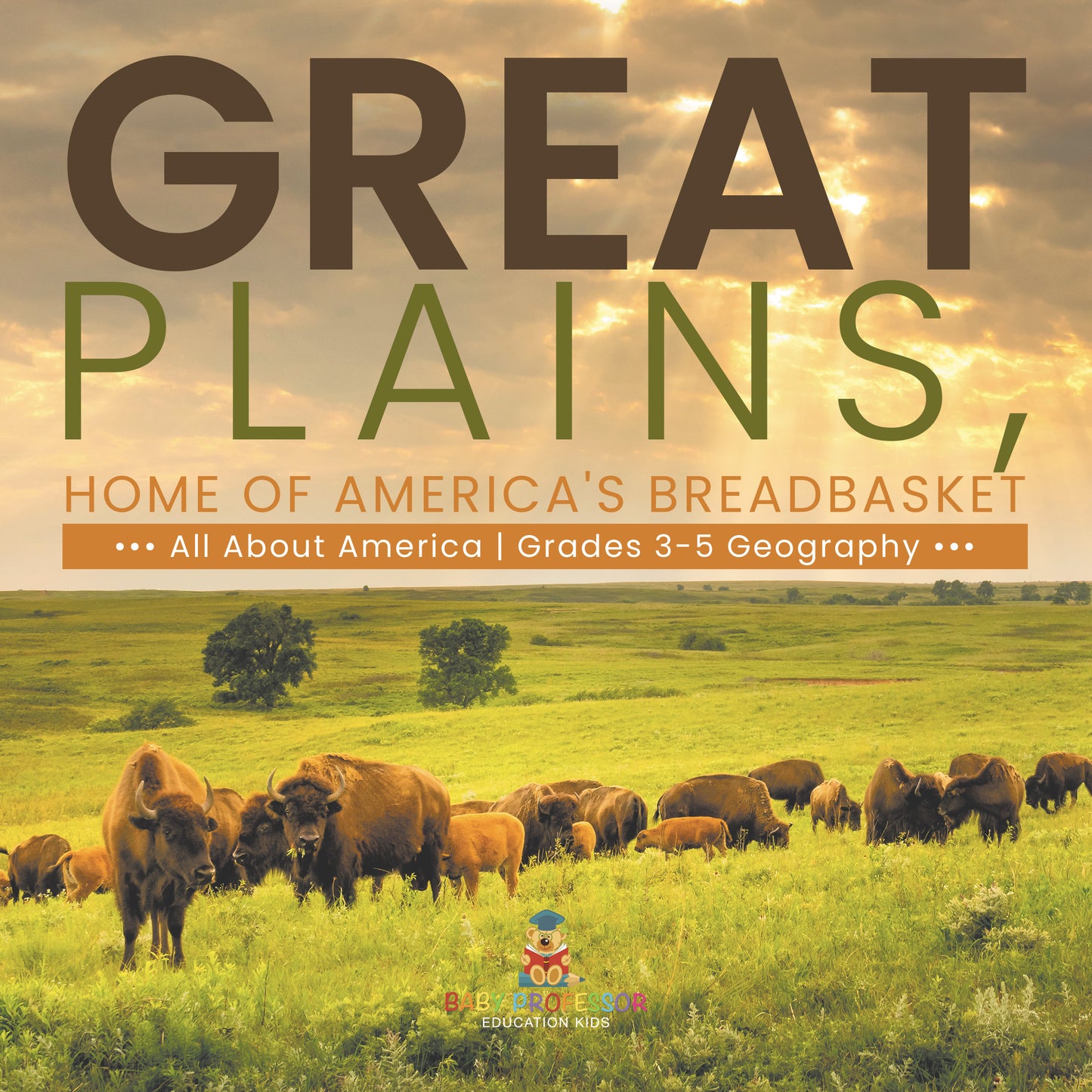 Great Plains, Home of America's Breadbasket | Gr 3-5 | Book