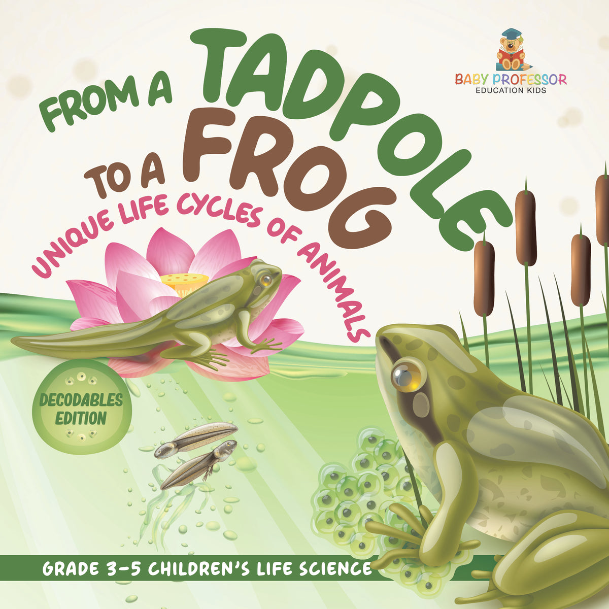 Animal Life Cycles, Life Science for Kids Book | STEM K-12