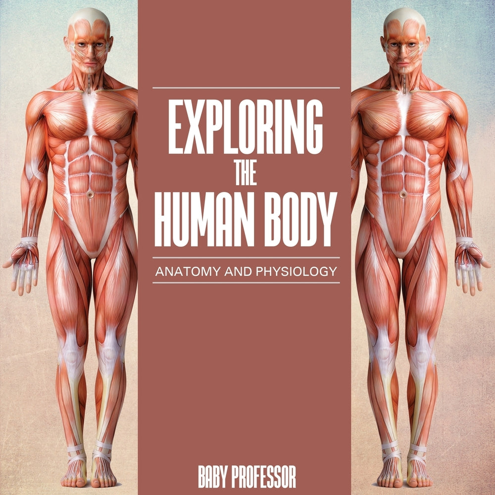 Exploring the Human Body | Anatomy and Physiology