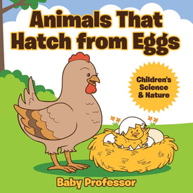 Animals That Hatch from Eggs | Childrens Science & Nature