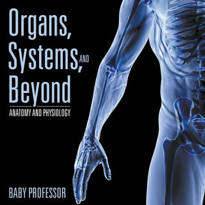 Organs Systems and Beyond | Anatomy and Physiology